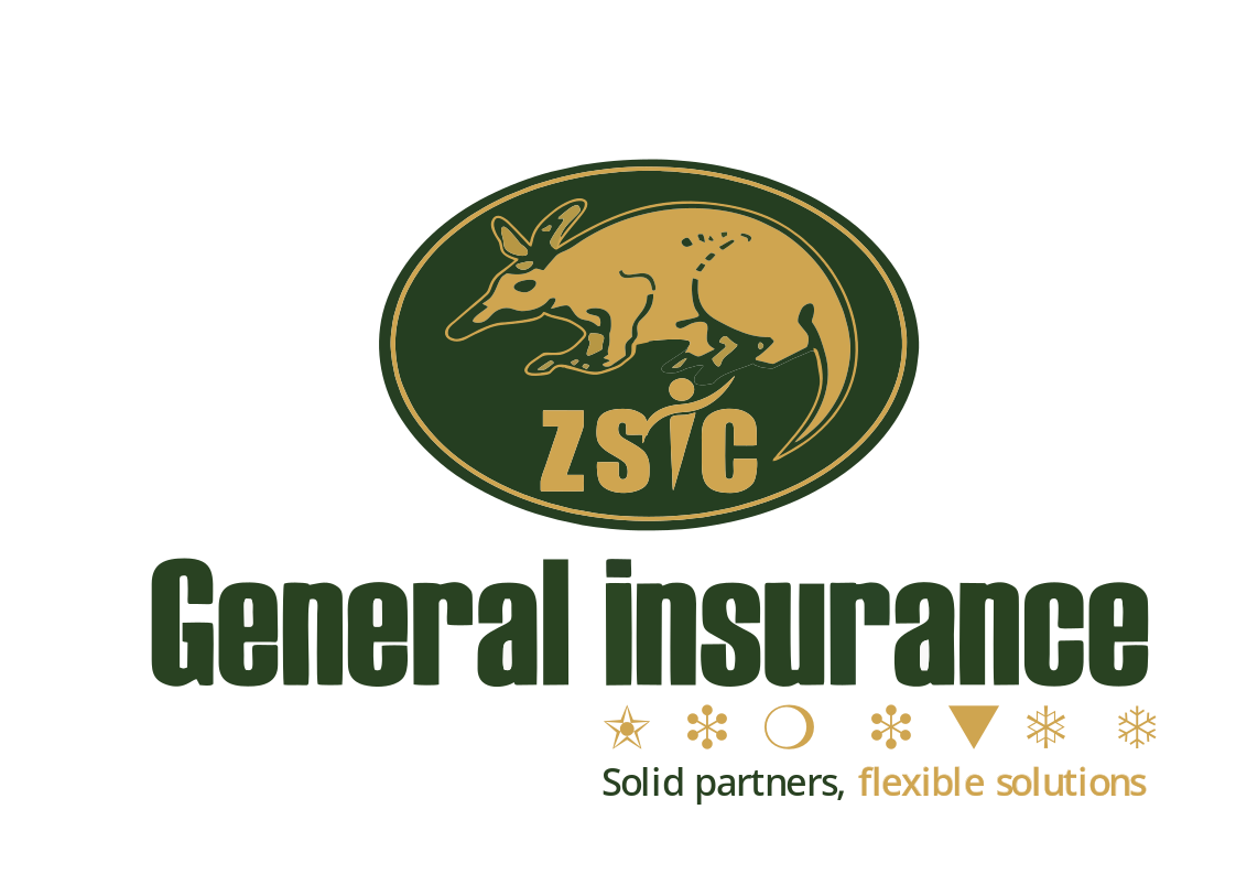 ZSIC.png